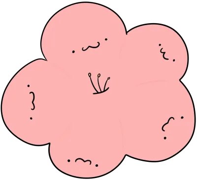 벚꽃