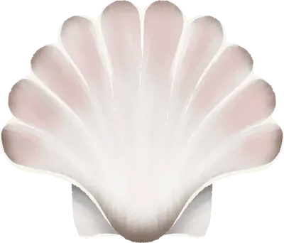 조개