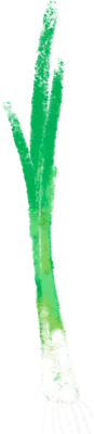 파