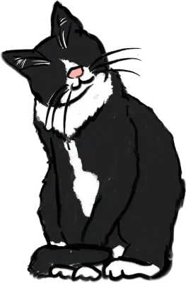 Cat 007