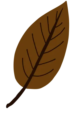 Leave