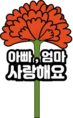 카네이션
