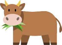 소