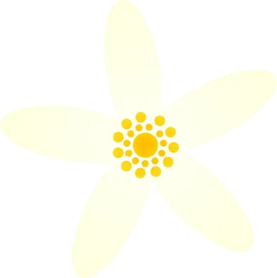 레몬꽃