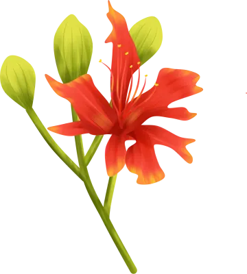 Red Phoenix flower clipart