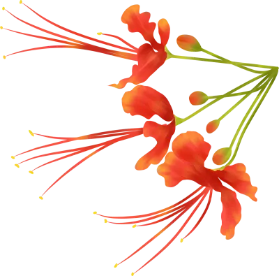 Red Phoenix flower clipart drawing