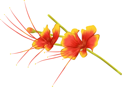 Phoenix flower clipart drawing