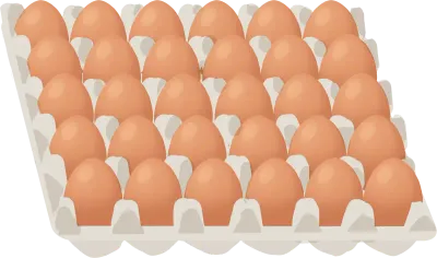 달걀 한판