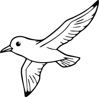 250429 갈매기012