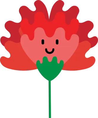 카네이션