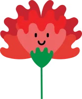 카네이션