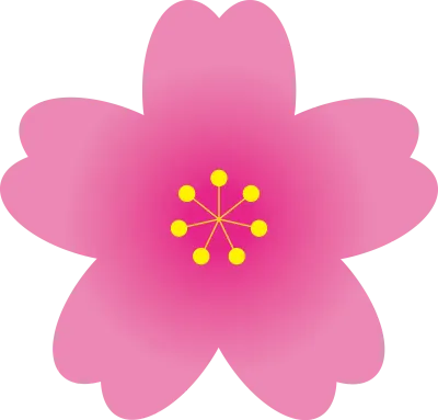 벚꽃