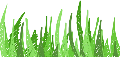 잔디