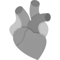 Heart Icon