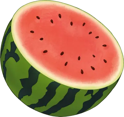 여름 수박 반통
