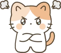 고양이 팔짱을 끼고 화를 내고 있는 모습