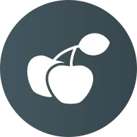 Cherries Icon