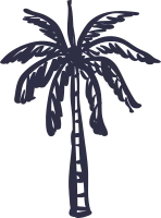 Hand Drawn Palm Tree Vector for Summer Vacation Holidays