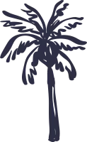 Hand Drawn Palm Tree Vector for Summer Vacation Holidays