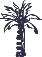 Hand Drawn Palm Tree Vector for Summer Vacation Holidays