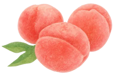 크레용 복숭아
