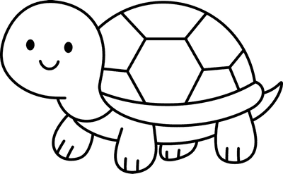 거북이