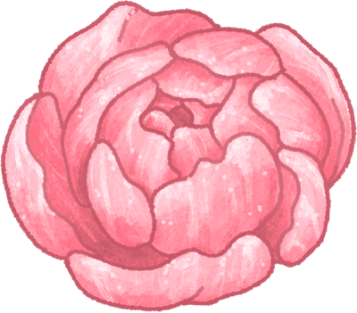 Pink rose and pink peony flowers clipart