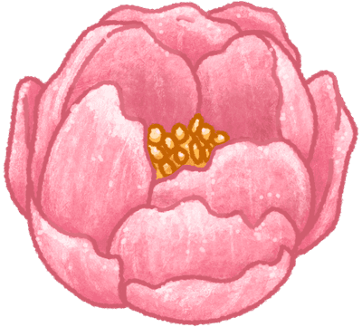 Pink rose and pink peony flowers clipart