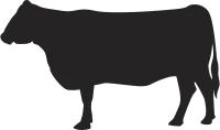 Cow Silhouette