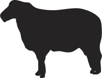 Sheep Icon