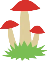 버섯