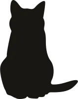 Black Cat Pose