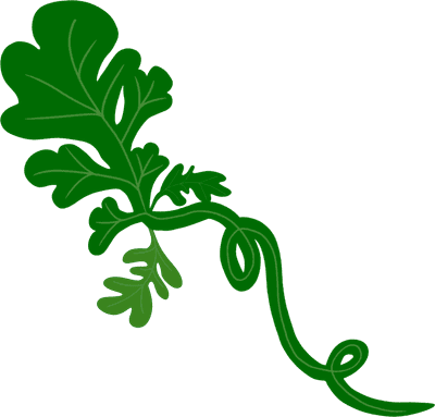 수박