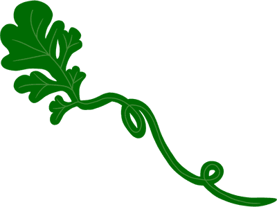 수박
