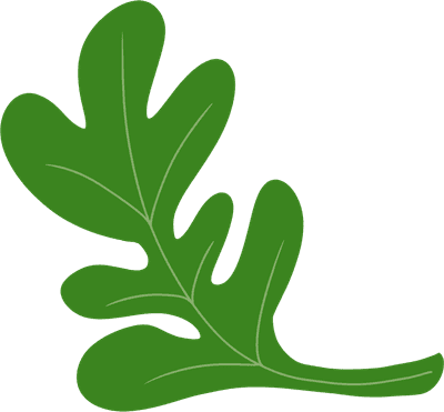 수박