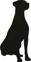 dog pose in silhouette