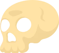 Human skull