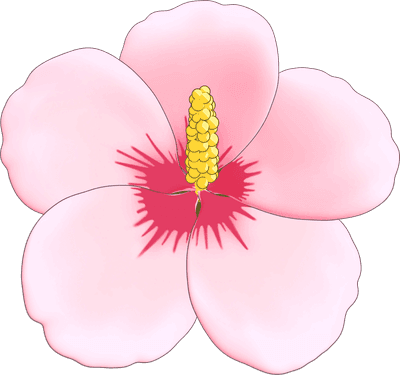 무궁화, rose of sharon