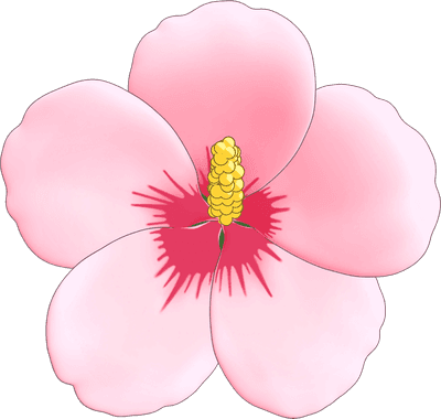 무궁화, rose of sharon