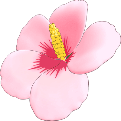 무궁화, rose of sharon