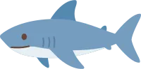 상어