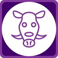 Wild Boar Icon