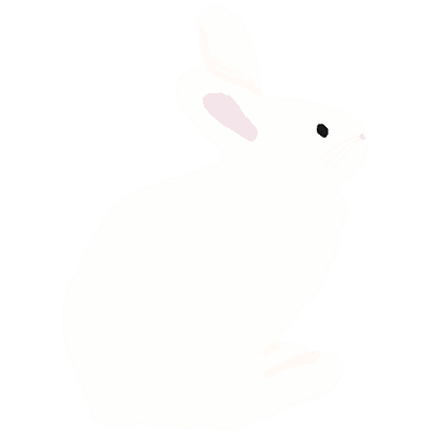 토끼