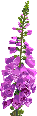 SummerFlower2-11