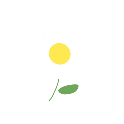 데이지꽃