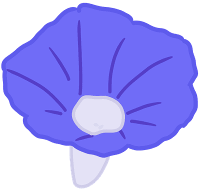 나팔꽃