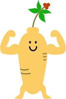 인삼캐릭3
