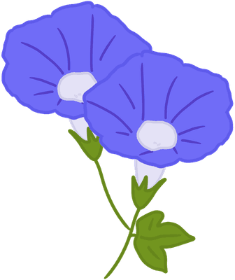 나팔꽃