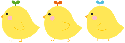 병아리