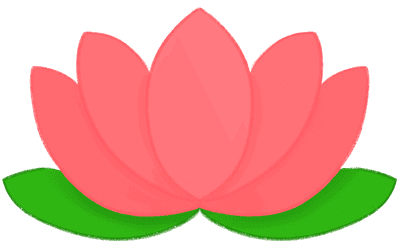 연꽃